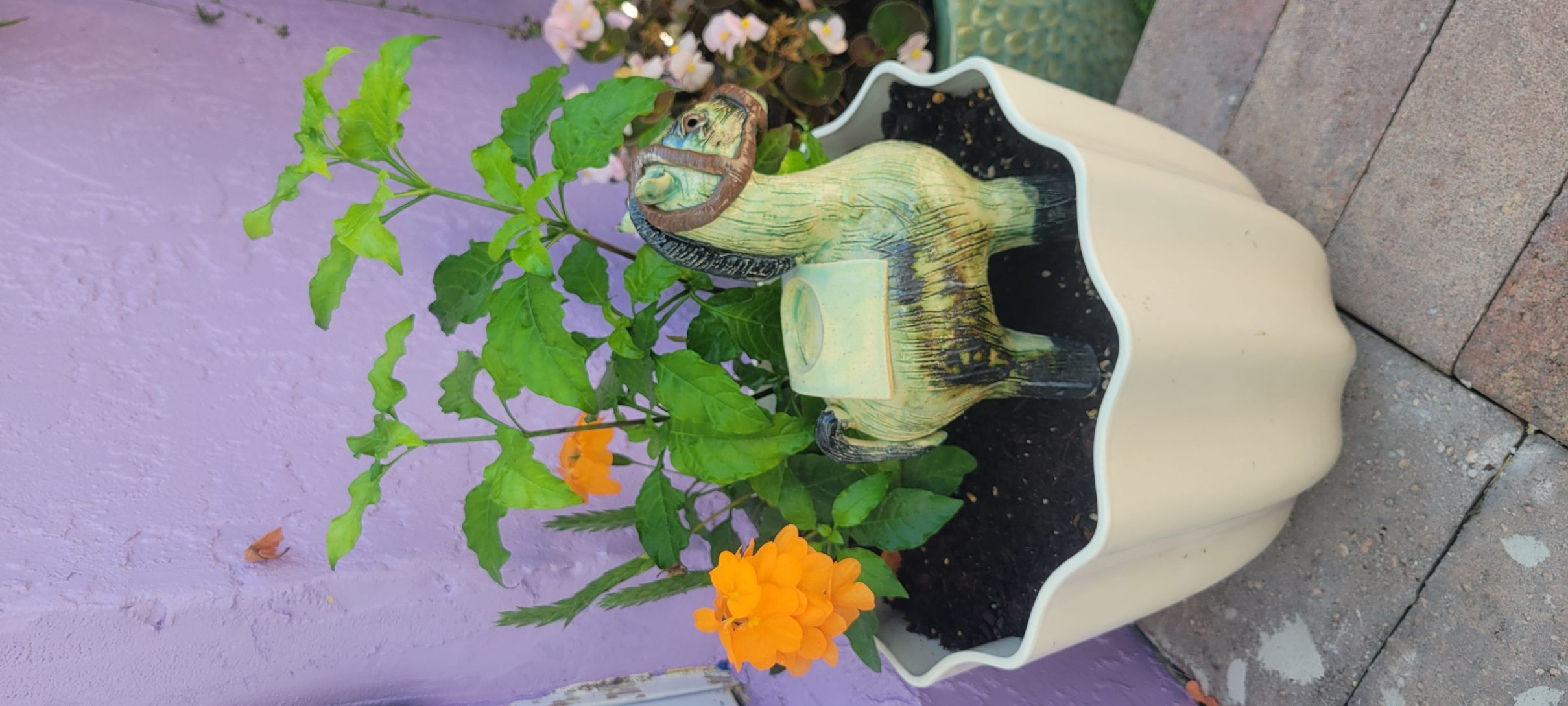 Rustic Horse Tealight Candle Holder